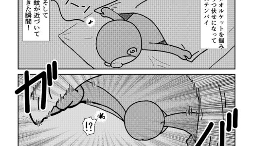蚊の処世術~就寝時編~