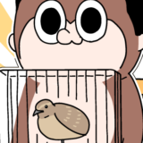 #44 ウズラ