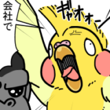 #73 ネットサーフィン